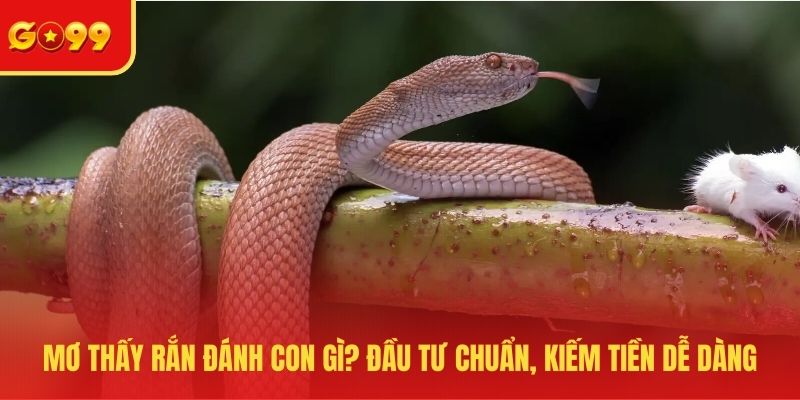 Mơ thấy rắn đánh con gì